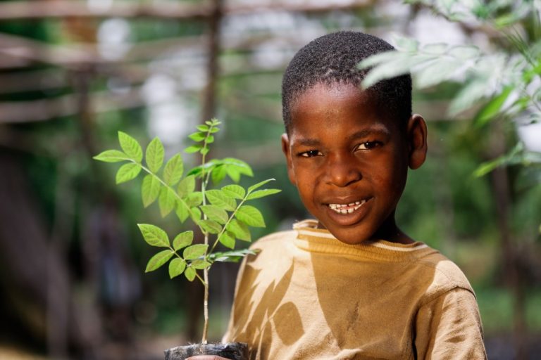 1 tree planted image