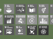 Sustainable Development Goals