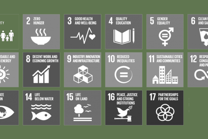 Sustainable Development Goals