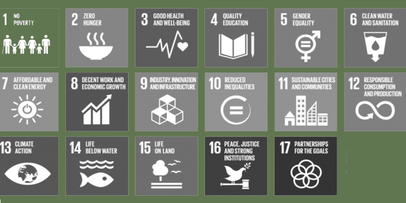 Sustainable Development Goals