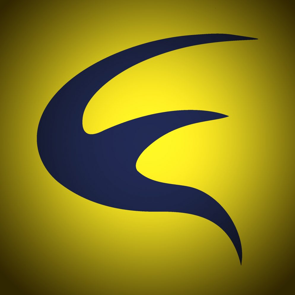 Gelsu sportswear brand
